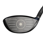 Big Bertha B21 Driver