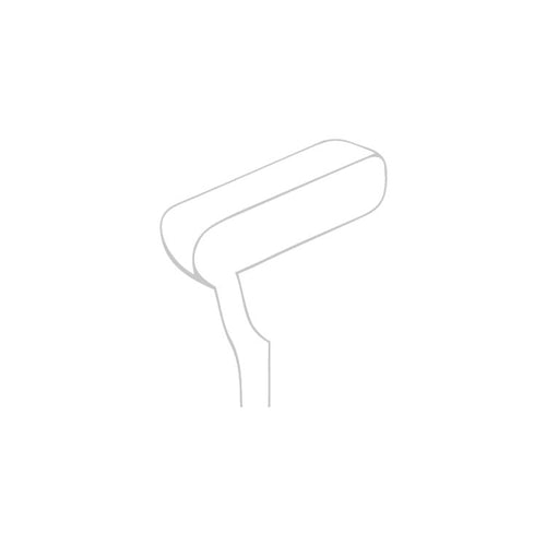 Palmer Putter
