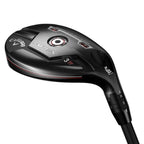 Apex 21 Hybrid